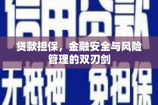 岑巩贷款担保，金融安全与风险管理的双刃剑