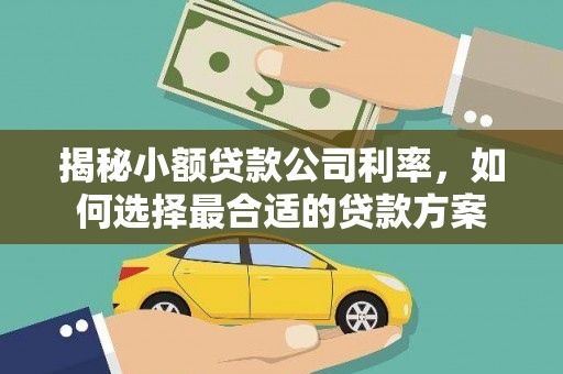 岑巩揭秘小额贷款公司利率，如何选择最合适的贷款方案