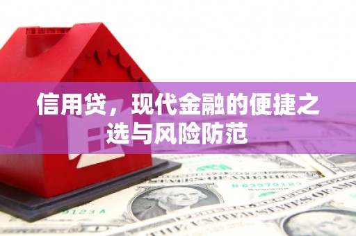 岑巩信用贷，现代金融的便捷之选与风险防范