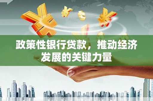 岑巩政策性银行贷款，推动经济发展的关键力量