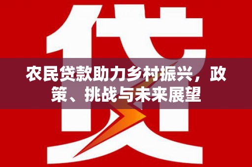 岑巩农民贷款助力乡村振兴，政策、挑战与未来展望