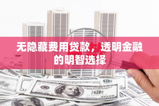 岑巩无隐藏费用贷款，透明金融的明智选择