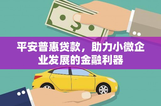 岑巩平安普惠贷款，助力小微企业发展的金融利器