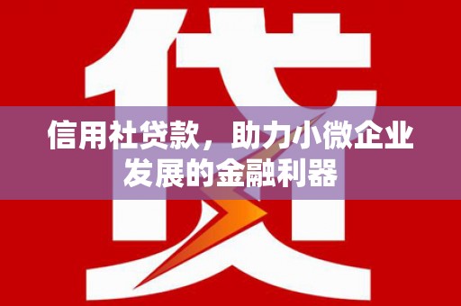 岑巩信用社贷款，助力小微企业发展的金融利器