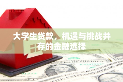 岑巩大学生贷款，机遇与挑战并存的金融选择