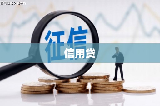 岑巩信用贷