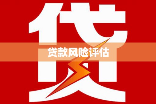 岑巩贷款风险评估
