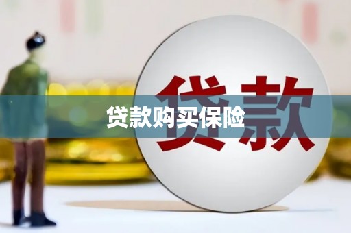 岑巩贷款购买保险