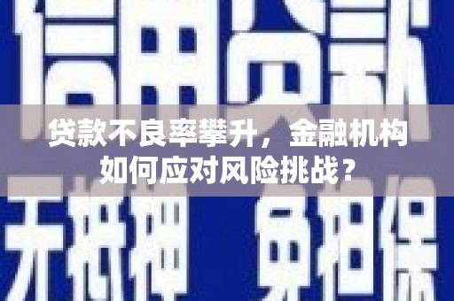 岑巩贷款不良率攀升，金融机构如何应对风险挑战？