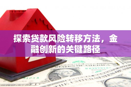 岑巩探索贷款风险转移方法，金融创新的关键路径