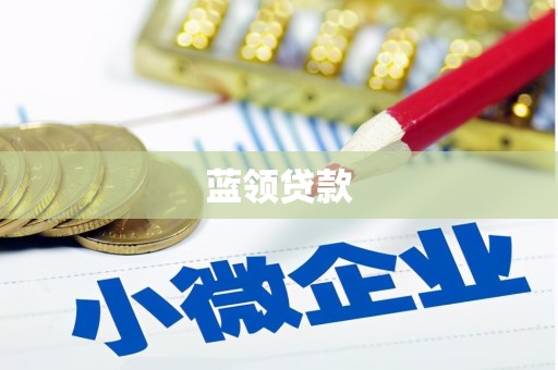 岑巩蓝领贷款