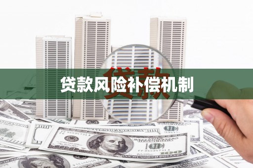 岑巩贷款风险补偿机制