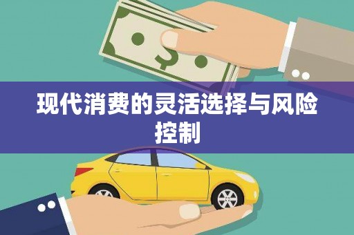 岑巩现代消费的灵活选择与风险控制