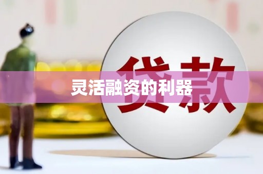 岑巩灵活融资的利器