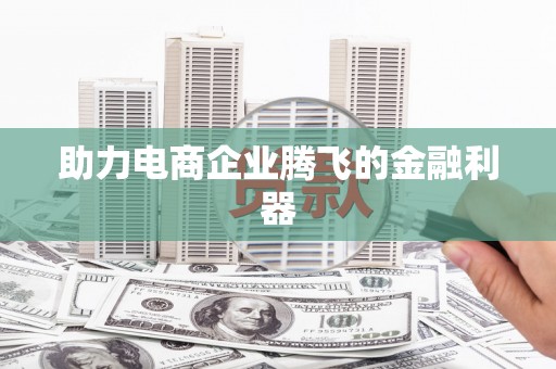 岑巩助力电商企业腾飞的金融利器