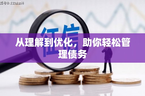 岑巩从理解到优化，助你轻松管理债务
