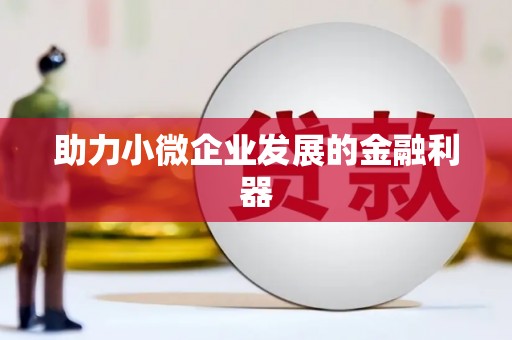 岑巩助力小微企业发展的金融利器