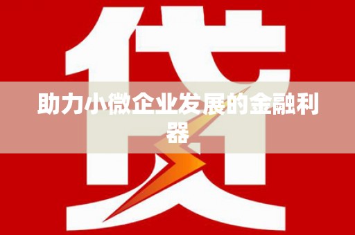 岑巩助力小微企业发展的金融利器
