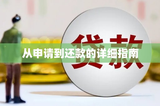 岑巩从申请到还款的详细指南