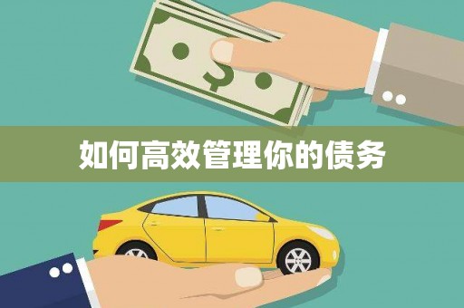 岑巩如何高效管理你的债务