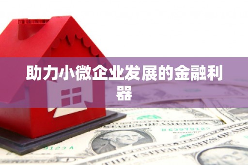 岑巩助力小微企业发展的金融利器
