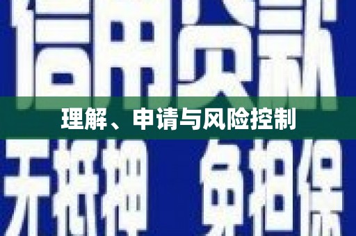 岑巩理解、申请与风险控制