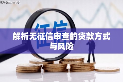 岑巩解析无征信审查的贷款方式与风险