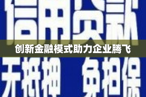岑巩创新金融模式助力企业腾飞
