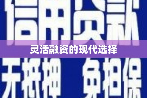 岑巩灵活融资的现代选择