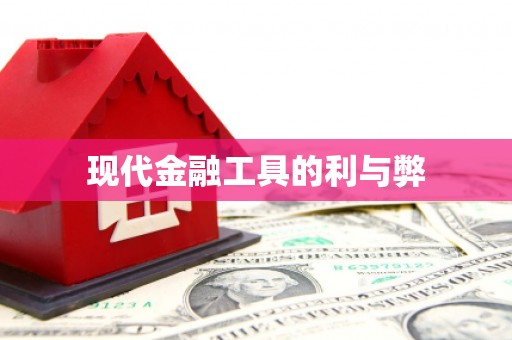岑巩现代金融工具的利与弊