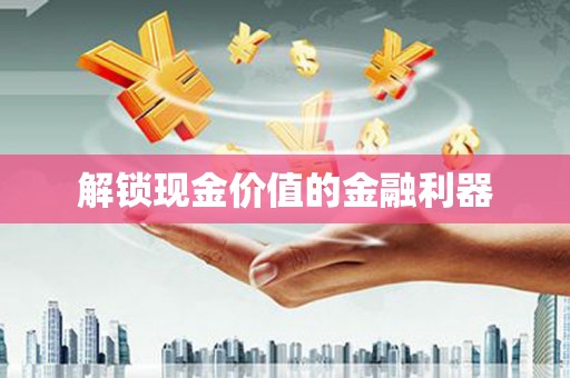 岑巩解锁现金价值的金融利器