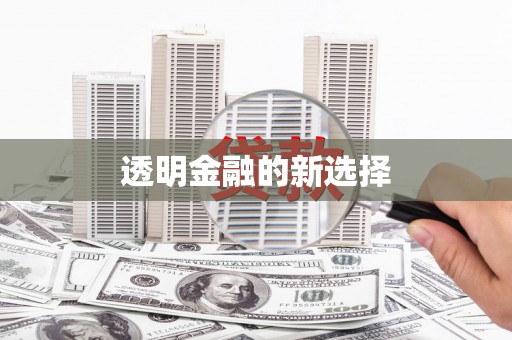 岑巩透明金融的新选择
