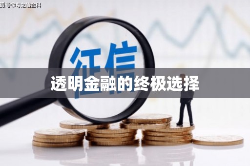 岑巩透明金融的终极选择