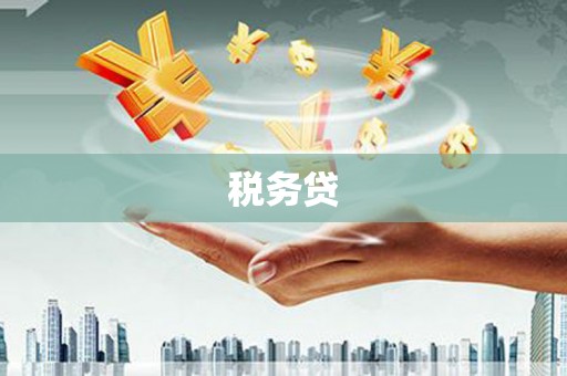 岑巩税务贷