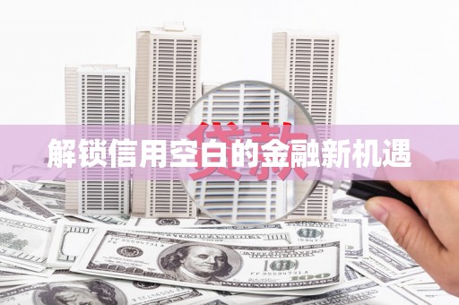 岑巩解锁信用空白的金融新机遇