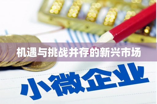 岑巩机遇与挑战并存的新兴市场