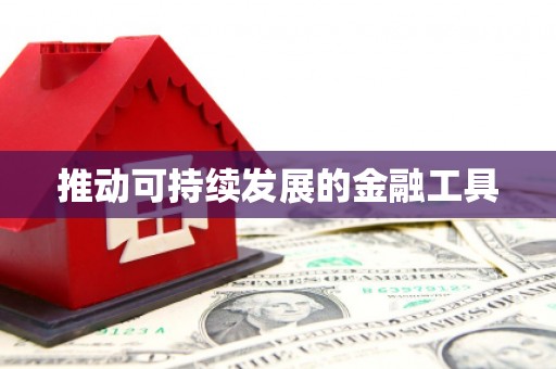 岑巩推动可持续发展的金融工具