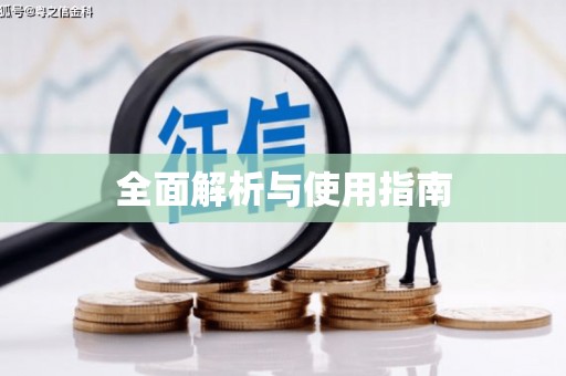 岑巩全面解析与使用指南