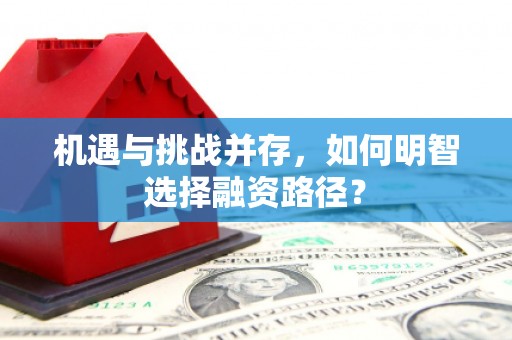 岑巩机遇与挑战并存，如何明智选择融资路径？
