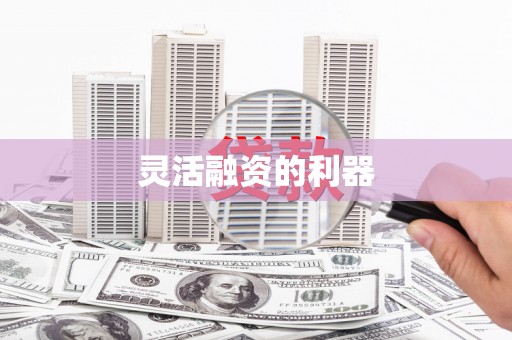岑巩灵活融资的利器