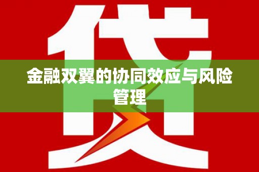 岑巩金融双翼的协同效应与风险管理