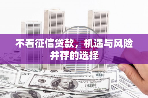岑巩不看征信贷款，机遇与风险并存的选择