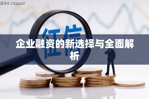 岑巩企业融资的新选择与全面解析