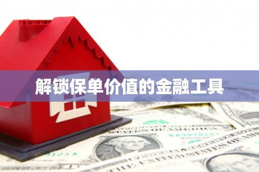 岑巩解锁保单价值的金融工具