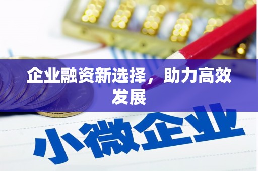 岑巩企业融资新选择，助力高效发展