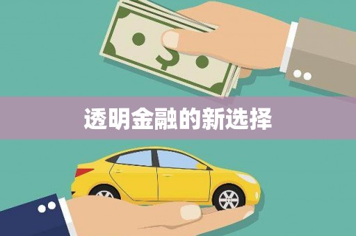 岑巩透明金融的新选择