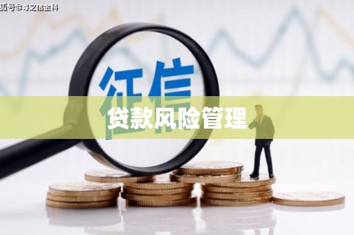 岑巩贷款风险管理